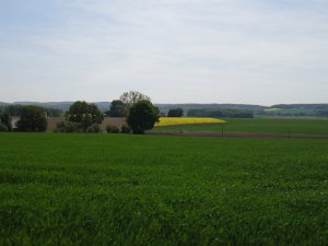 Berlmer Radmarathon dirksen1 521